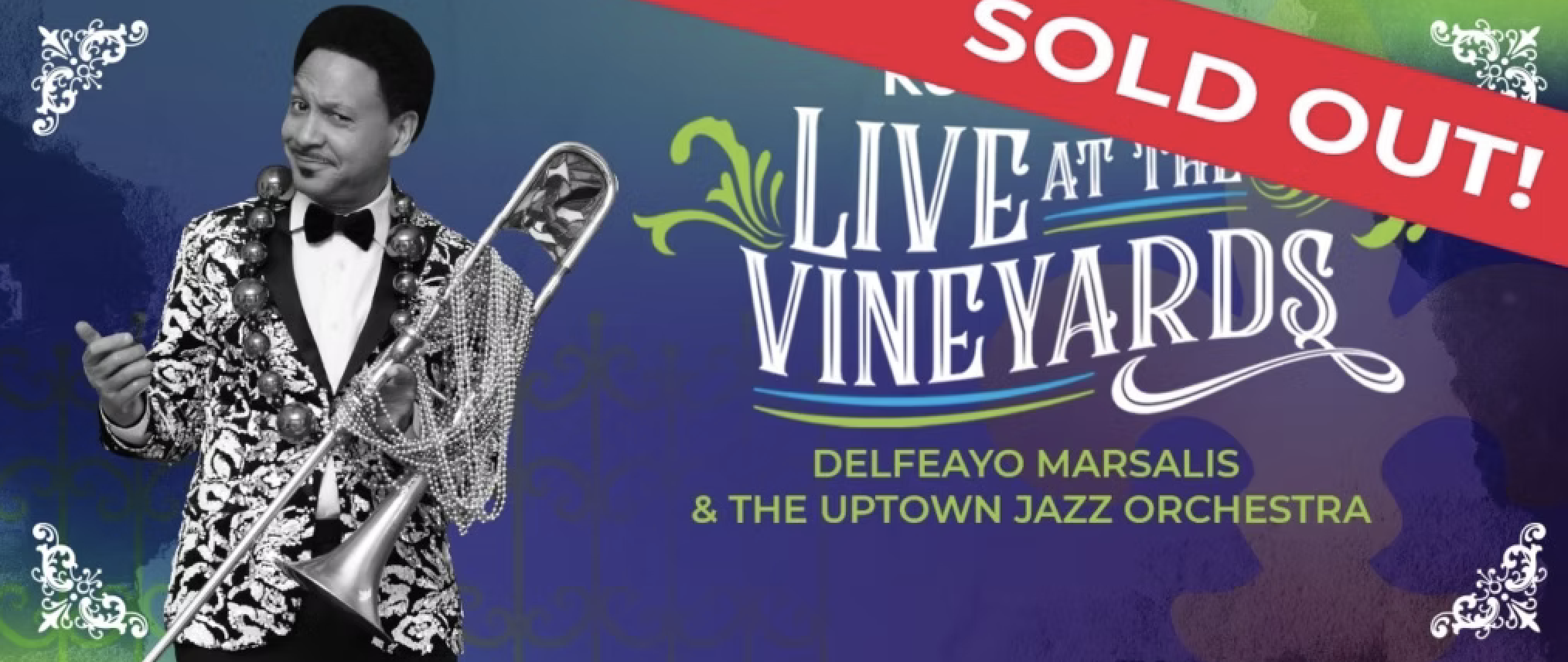 Live at the Vineyards